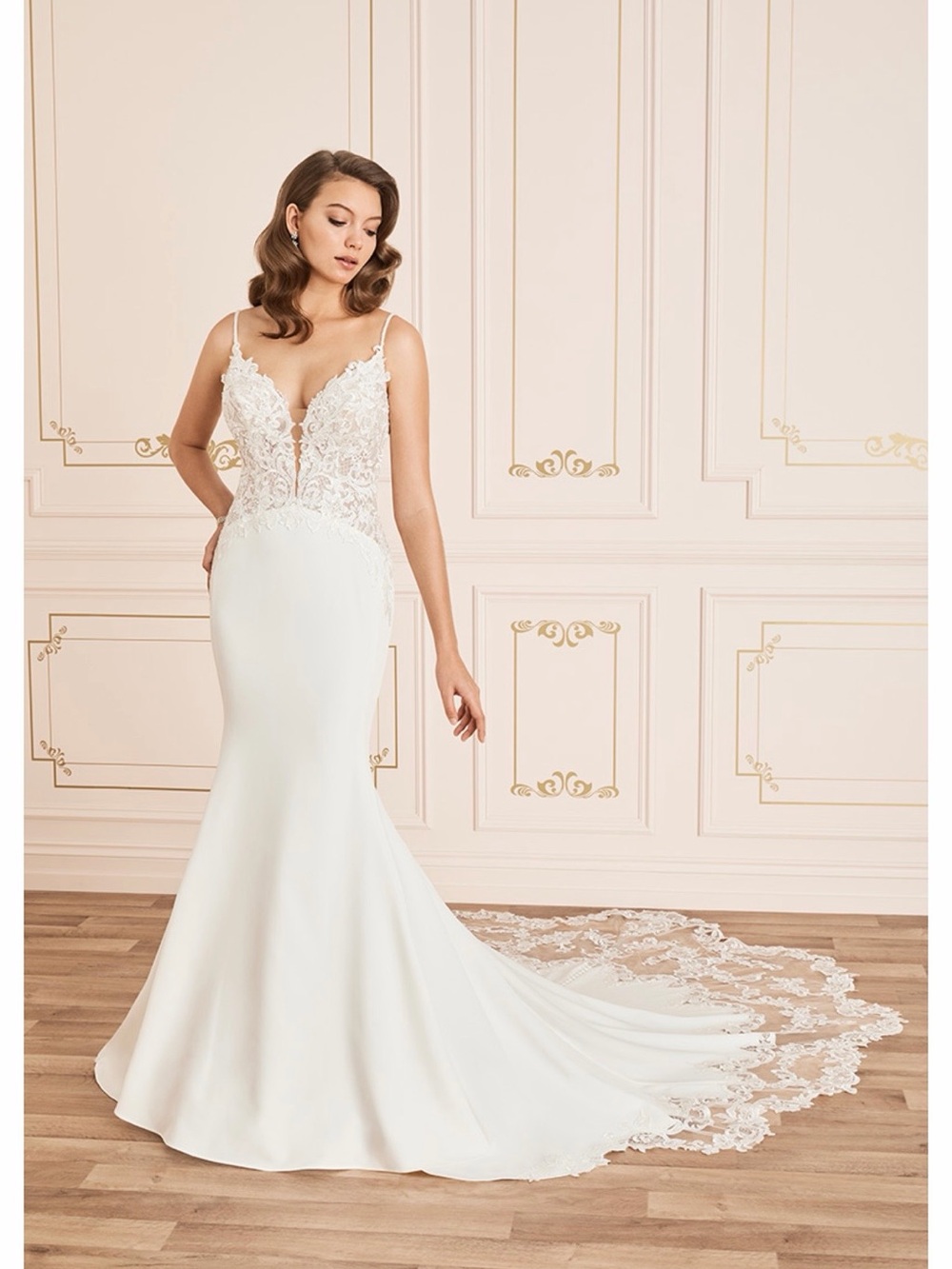 Elegant Mermaid Dress with Train